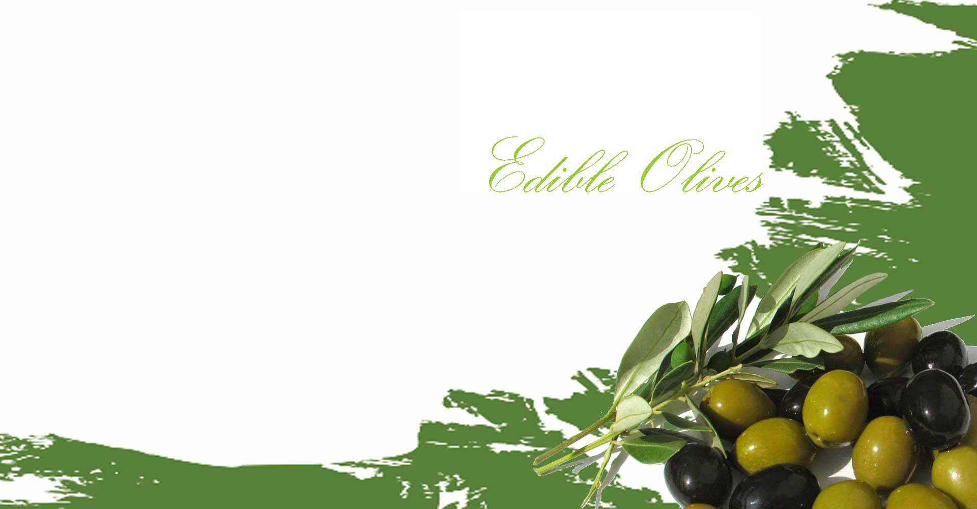 Ελιες Χαλκιδικης